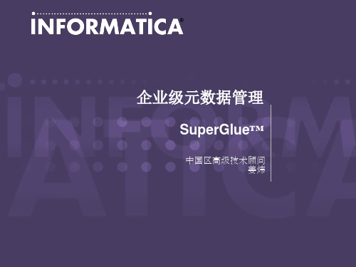 Informatica+SuperGlue+元数据管理平台