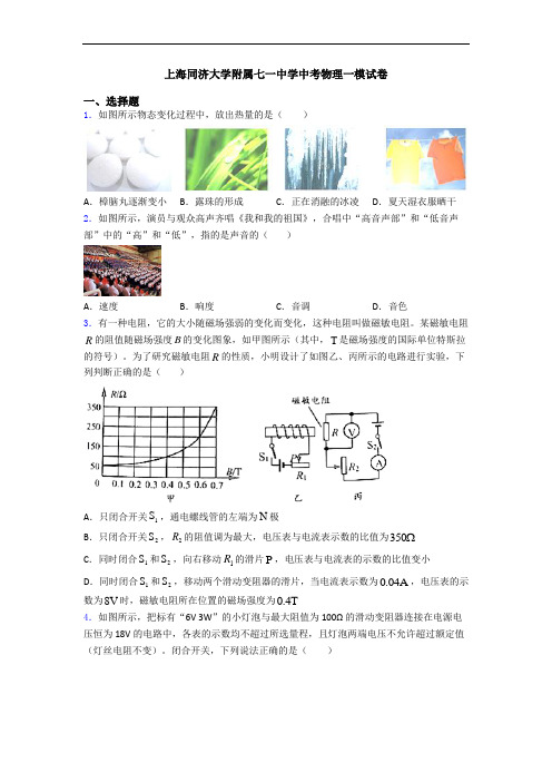 上海同济大学附属七一中学中考物理一模试卷