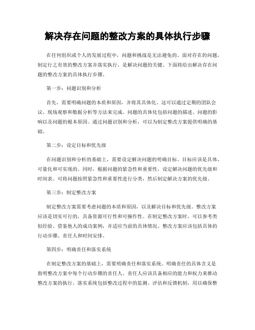 解决存在问题的整改方案的具体执行步骤