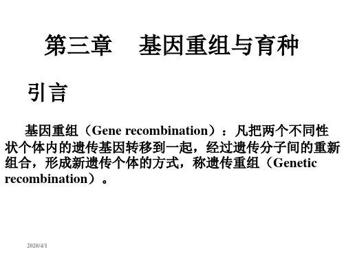 微生物遗传育种课件,基因重组与育种