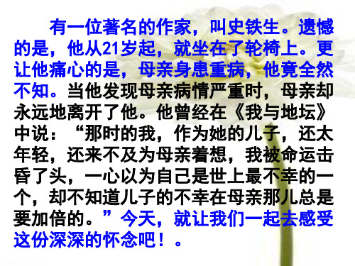 人教部编版七年级语文上册5、秋天的怀念(共31张PPT)