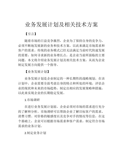 业务发展计划及相关技术方案