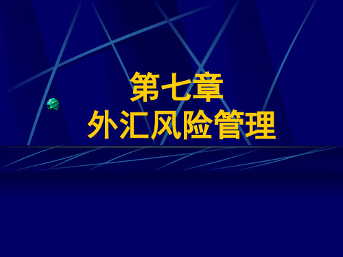 国际金融(第七章)外汇风险管理