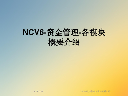 NCV6资金管理各模块概要介绍