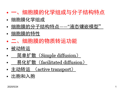 细胞膜的结构特点与跨膜物质转运