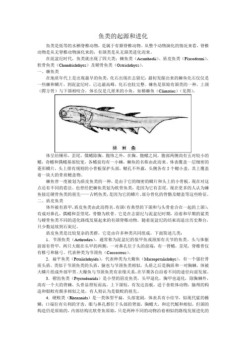 鱼类的起源和进化