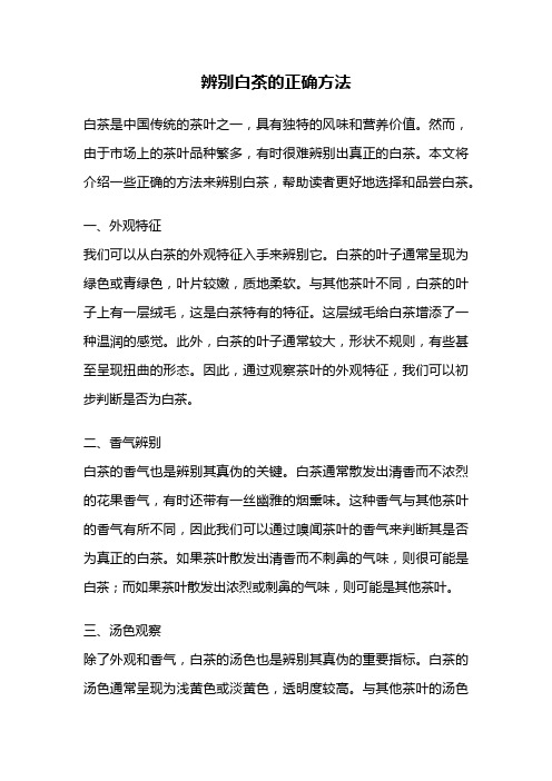 辨别白茶的正确方法