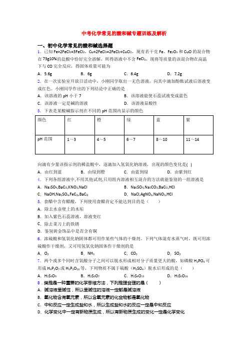 中考化学常见的酸和碱专题训练及解析