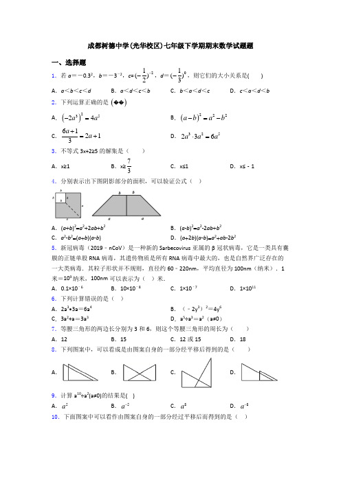 成都树德中学(光华校区)七年级下学期期末数学试题题