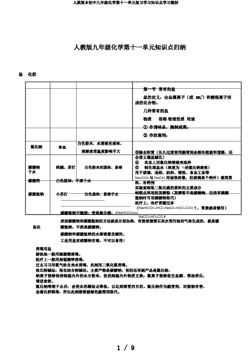 人教版本初中九年级化学第十一单元复习学习知识点学习概括