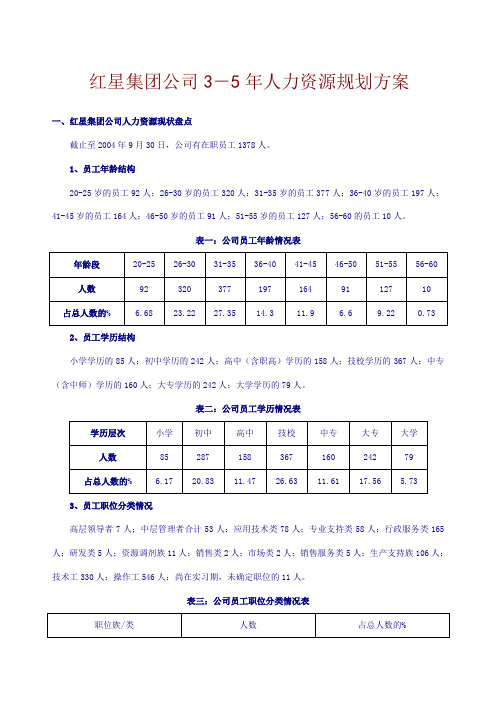 《红星集团公司人力资源规划方案》