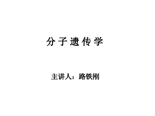 分子遗传学-1