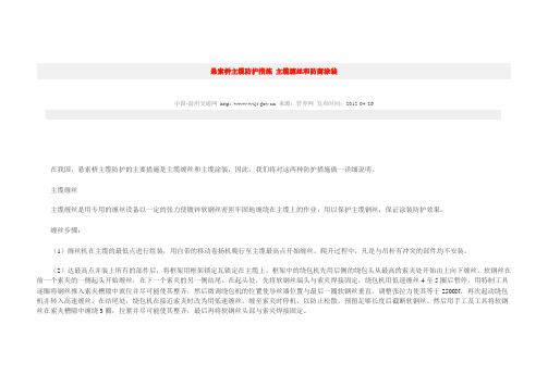 悬索桥主缆防护措施 主缆缠丝和防腐涂装
