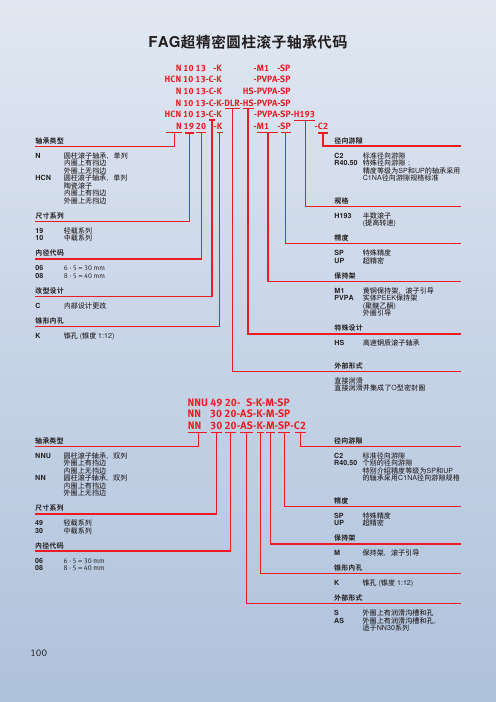 舍弗勒（FAG）精密双列圆柱滚子NN和NNU轴承样本