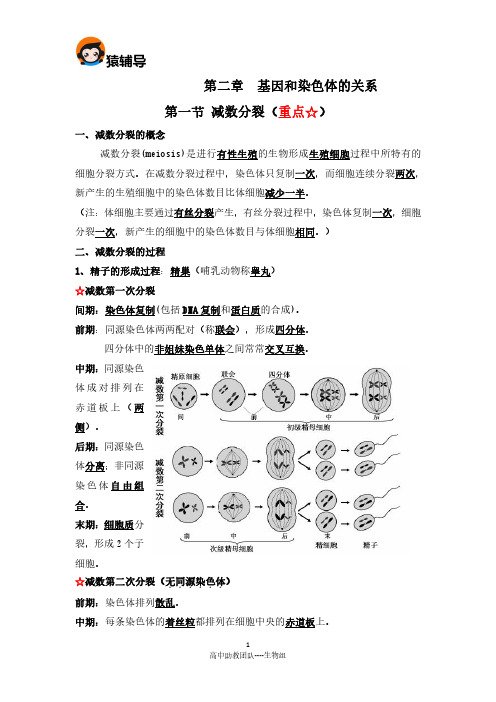 高中生物必修二期末复习知识点第二章