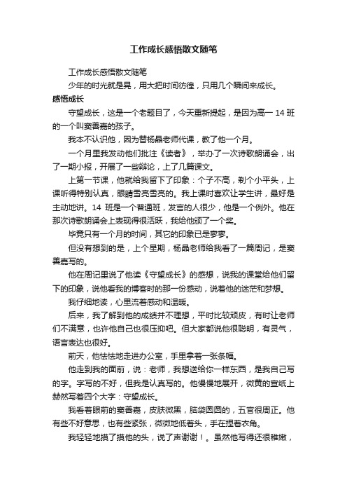 工作成长感悟散文随笔