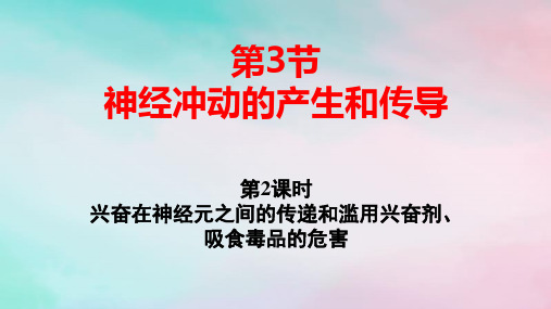 新教材高中生物兴奋在神经元之间的传递和滥用兴奋剂吸食毒品的危害pptx课件新人教版选择性必修1