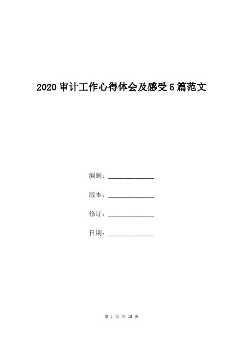 2020审计工作心得体会及感受5篇范文.doc