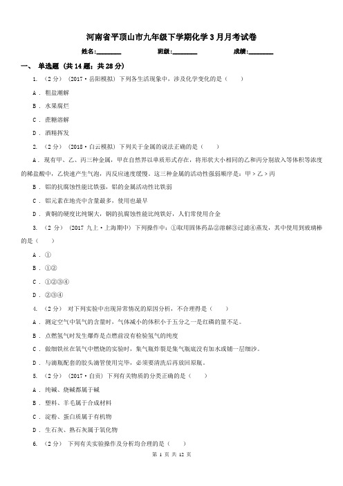 河南省平顶山市九年级下学期化学3月月考试卷