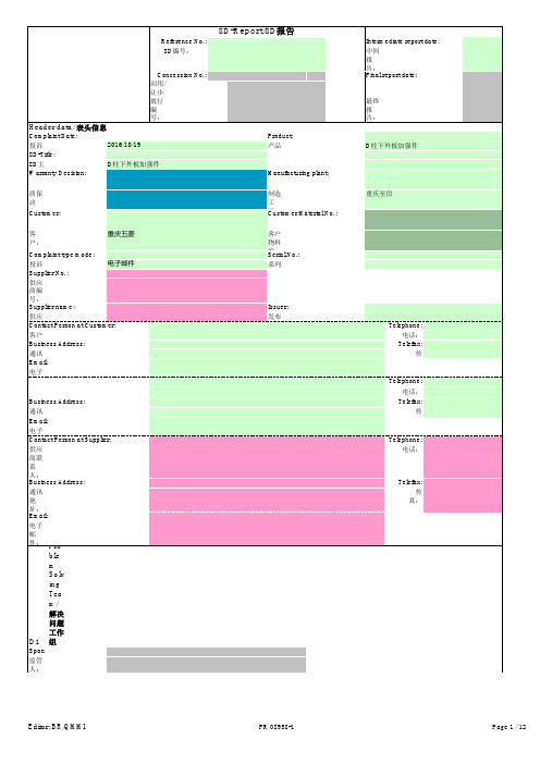 8D-Report-中英文对照模板