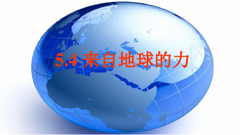 八年级物理全册6.4来自地球的力课件(新版)沪科版