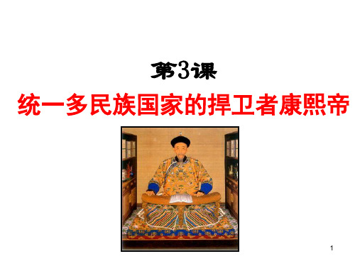 历史选修4 康熙ppt课件