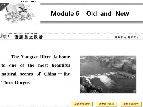 高中英语必修Ⅲ外研版Module6名师课件(共46张)