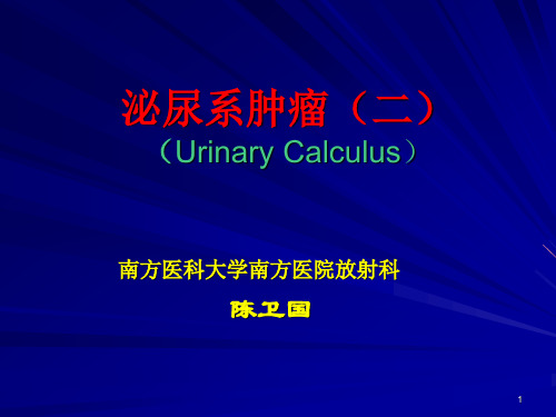 肾盂、输尿管、膀胱肿瘤、肾母细胞瘤的影像诊断