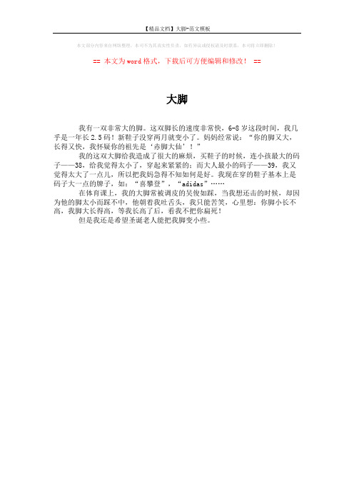 【精品文档】大脚-范文模板 (1页)