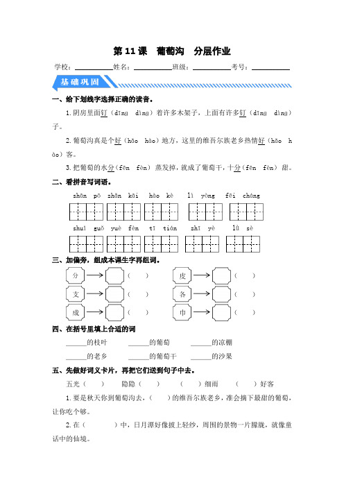 第11课 葡萄沟二年级语文上册同步分层作业设计系列(统编版)