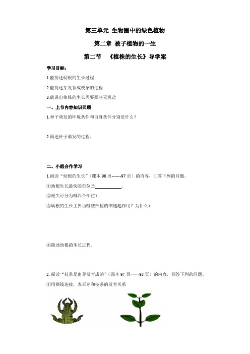 第三单元 生物圈中的绿色植物植株的生长(导学案)