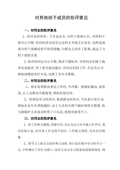 对其他班子成员的批评意见