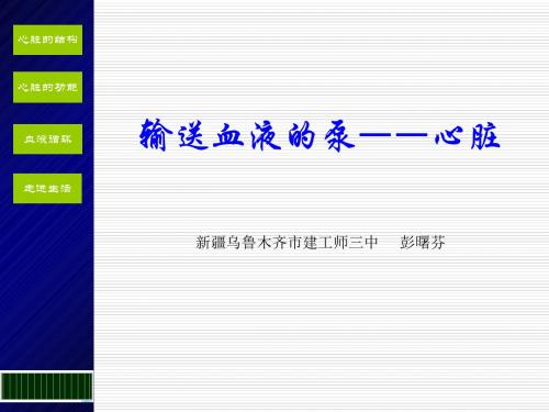 输送血液的泵——心脏 PPT课件18 人教版