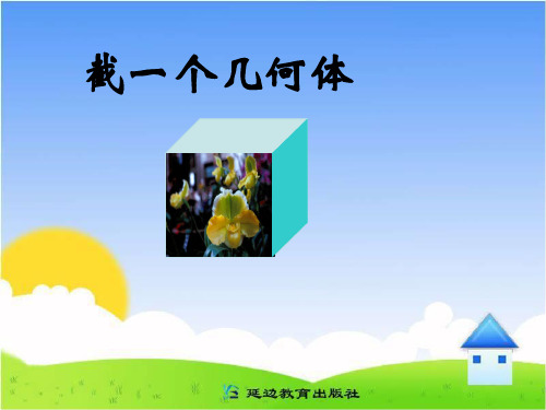 北师大版七年级数学上册《截一个几何体》课件(3)