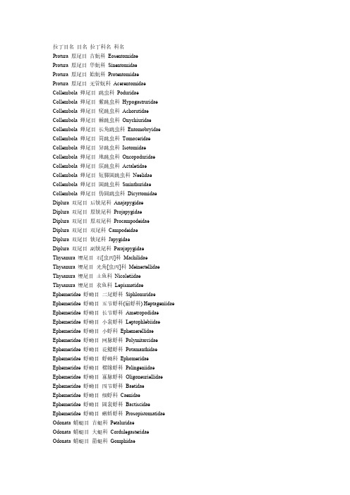 昆虫的拉丁目名 目名 拉丁科名 科名12