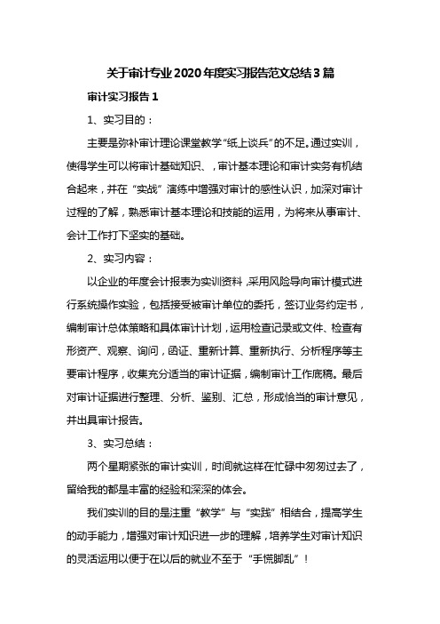 关于审计专业2020年度实习报告范文总结3篇