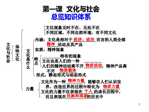 高中政治必修三文化生活第一单元复习课PPT课件