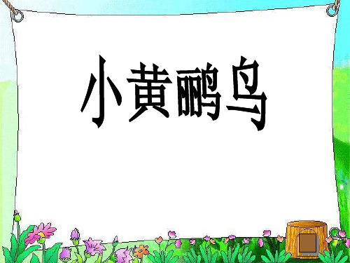 《小黄鹂鸟》PPT精品教学课件