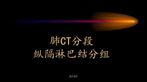 CT肺叶分段及纵膈淋巴结分组