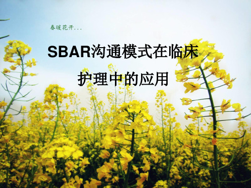 SBAR沟通模式