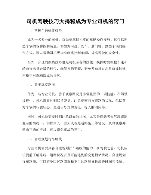 司机驾驶技巧大揭秘成为专业司机的窍门