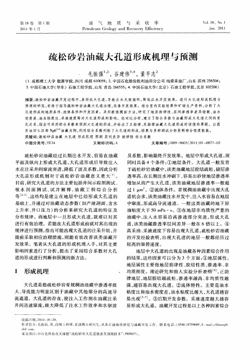 疏松砂岩油藏大孔道形成机理与预测