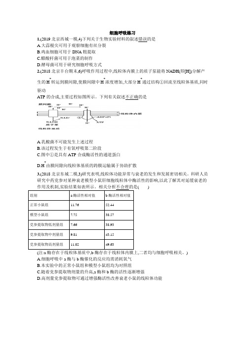 高中生物细胞呼吸练习题及答案