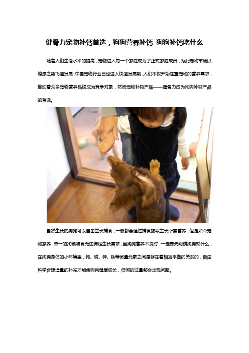 健骨力宠物补钙首选,狗狗营养补钙 狗狗补钙吃什么