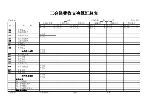 工会收支决算汇总表