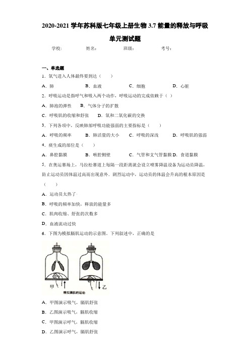 2020-2021学年苏科版七年级上册生物3.7能量的释放与呼吸单元测试题