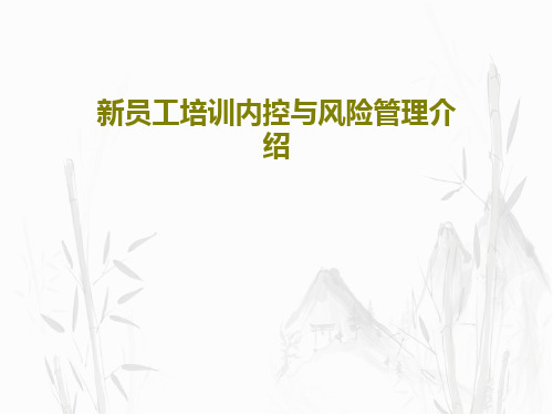 新员工培训内控与风险管理介绍80页PPT