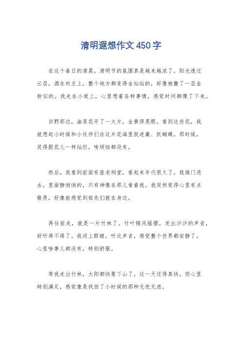 清明遐想作文450字