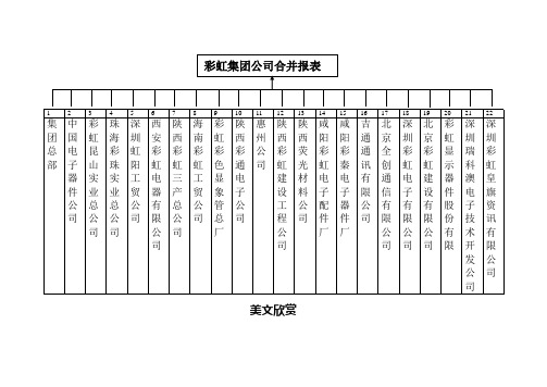 彩虹集团公司合并报表.doc