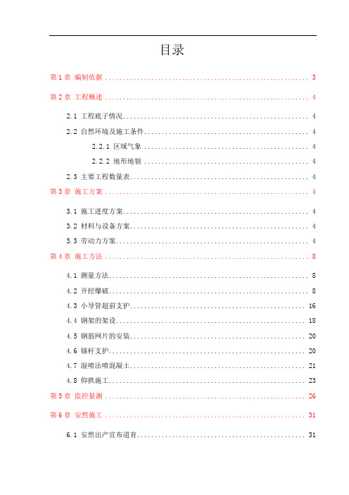 隧道开挖专项施工方案